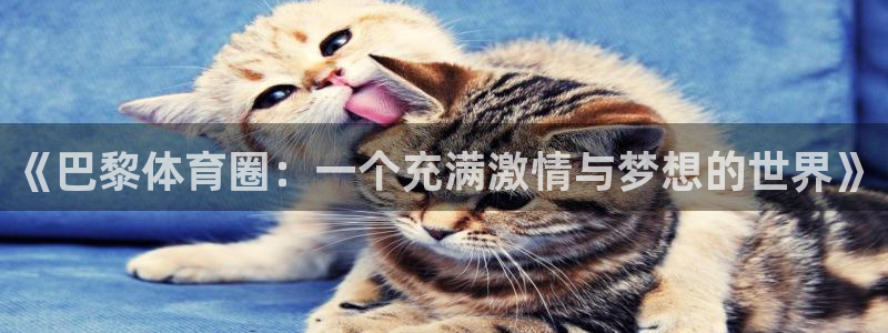 《巴黎体育圈：一个充满激情与梦想的世界》