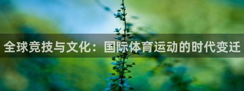 全球竞技与文化：国际体育运动的时代变迁