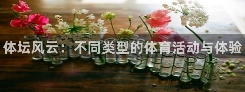 体坛风云：不同类型的体育活动与体验