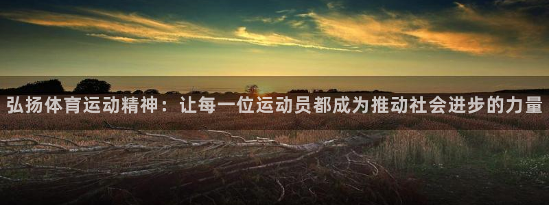 弘扬体育运动精神：让每一位运动员都成为推动社会进步的力量