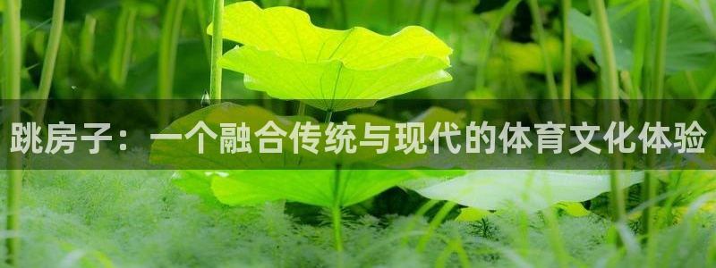 跳房子：一个融合传统与现代的体育文化体验