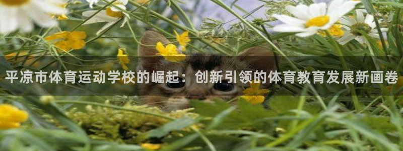 平凉市体育运动学校的崛起：创新引领的体育教育发展新画卷