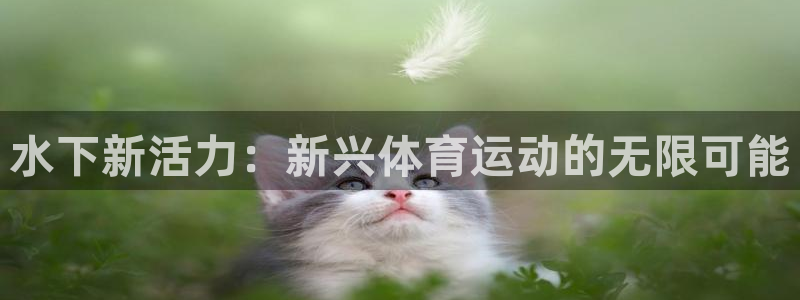 水下新活力：新兴体育运动的无限可能