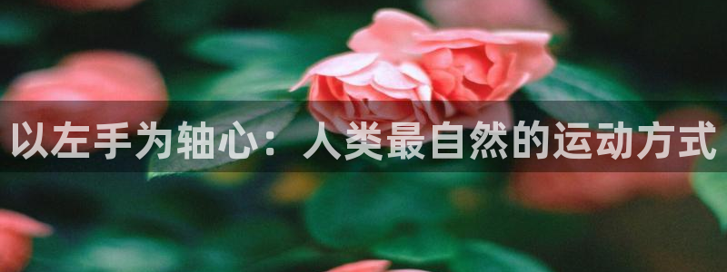 以左手为轴心：人类最自然的运动方式