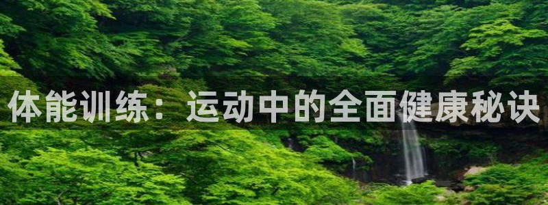 体能训练：运动中的全面健康秘诀