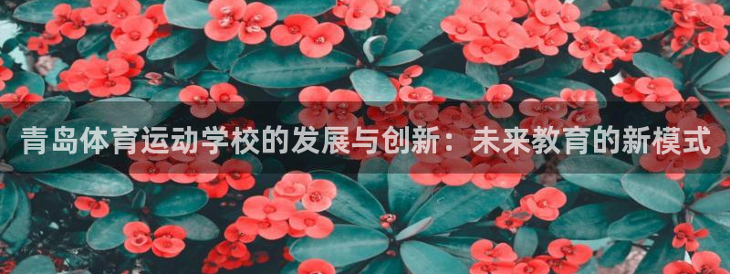 青岛体育运动学校的发展与创新：未来教育的新模式