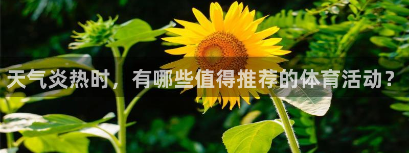 天气炎热时，有哪些值得推荐的体育活动？